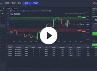 独家：VantageFX 分拆新零售外汇品牌 Moneta Markets
