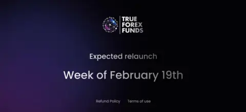 独家：True Forex Funds 计划下周重启自营交易业务