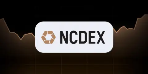 TradingView 小部件登陆 NCDEX 官网，助力印度商品交易者