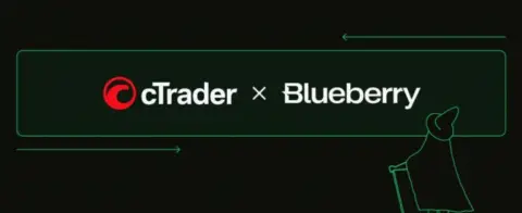 Blueberry整合Spotware cTrader平台，提供多资产高性能交易体验