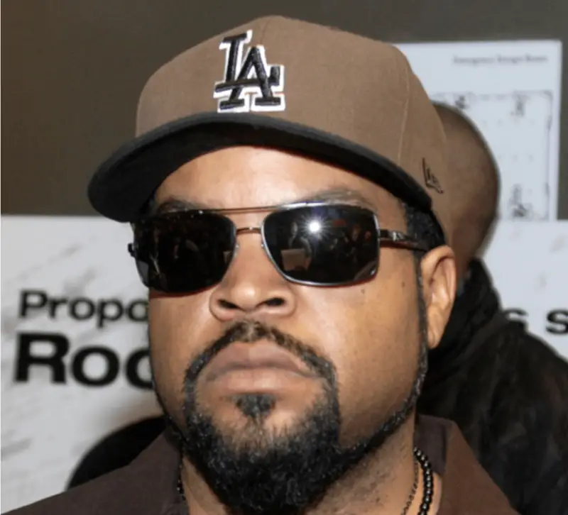 Robinhood 回应 Ice Cube 诉讼：文章未提其名，要求驳回