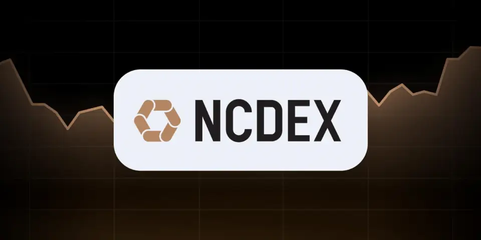 TradingView 小部件登陆 NCDEX 官网，助力印度商品交易者